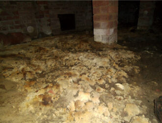 UnSafe Mould On Subfloor Ground