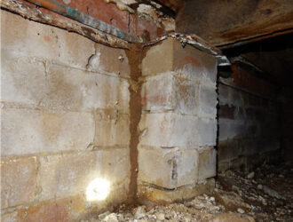 Sydney - pest and building Inspections - Termite Inspection